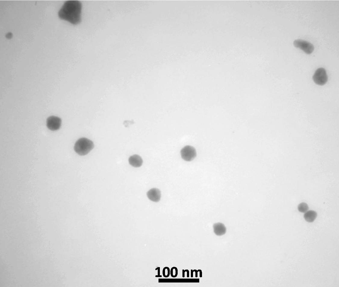 پودر نانو ذرات نقره - تصویر 3