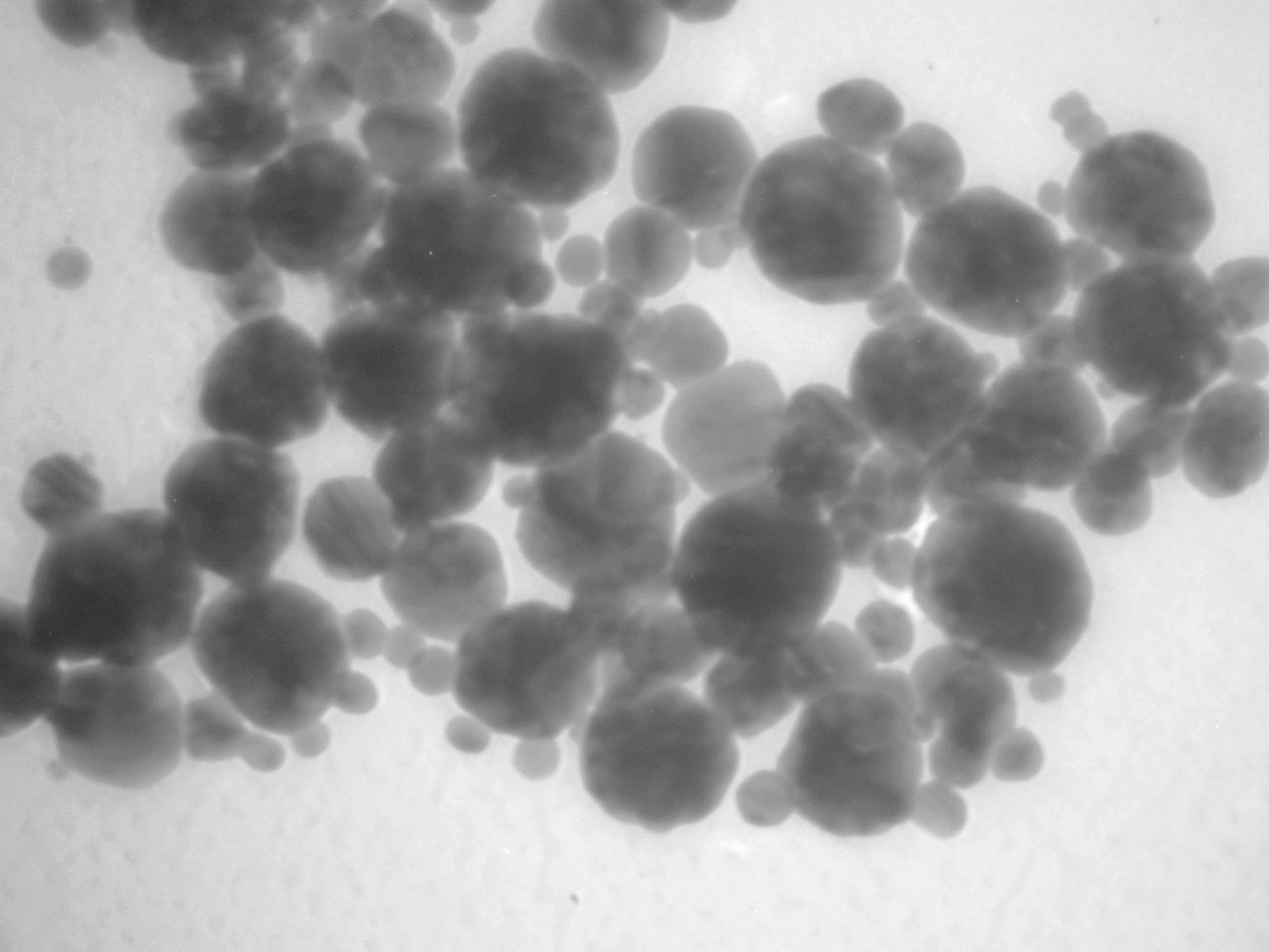 پودر نانو ذرات نقره - تصویر 2