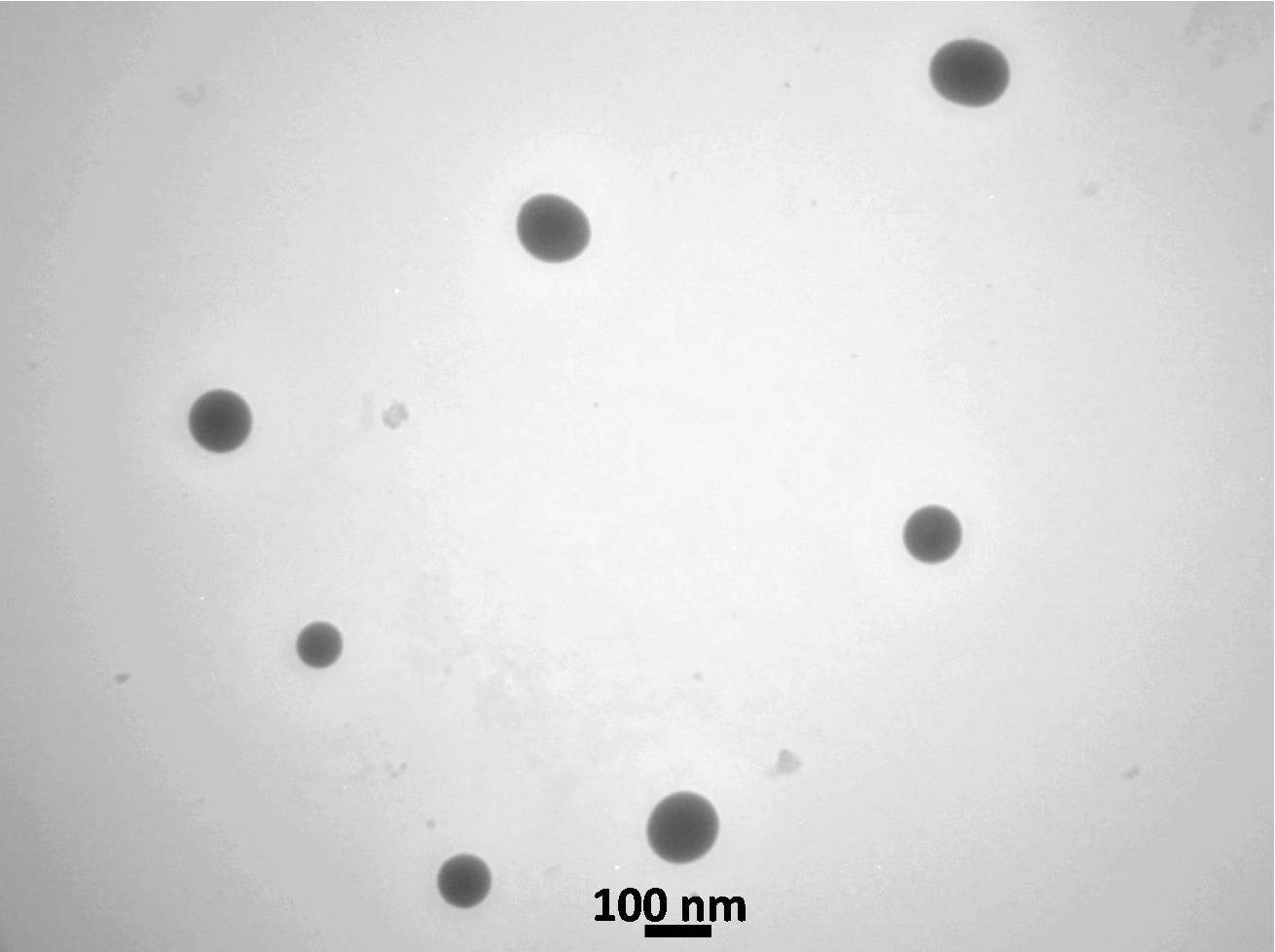 کلوئید نانو ذرات سلنیوم - تصویر 2