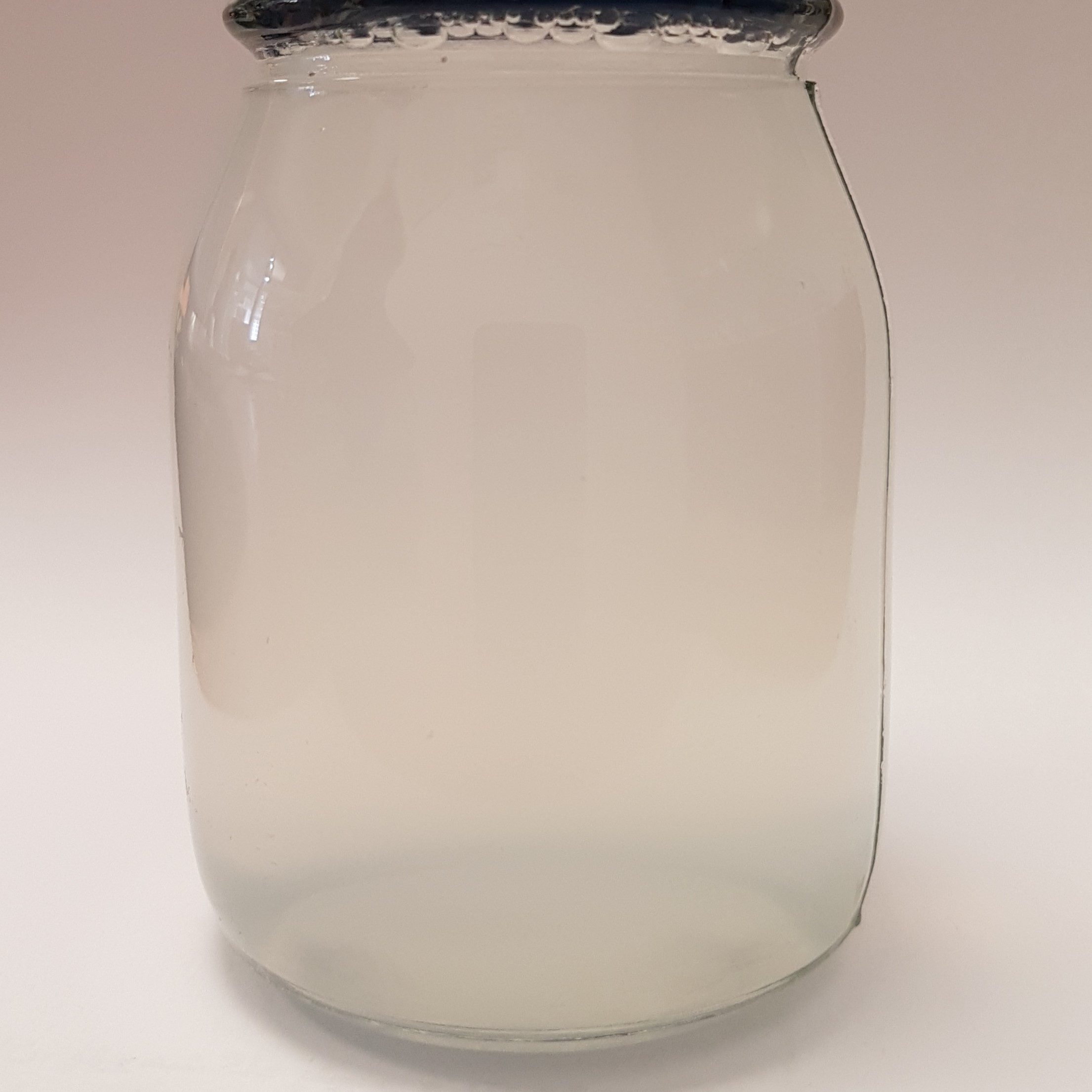 سوسپانسیون نانو ذرات کیتوسان