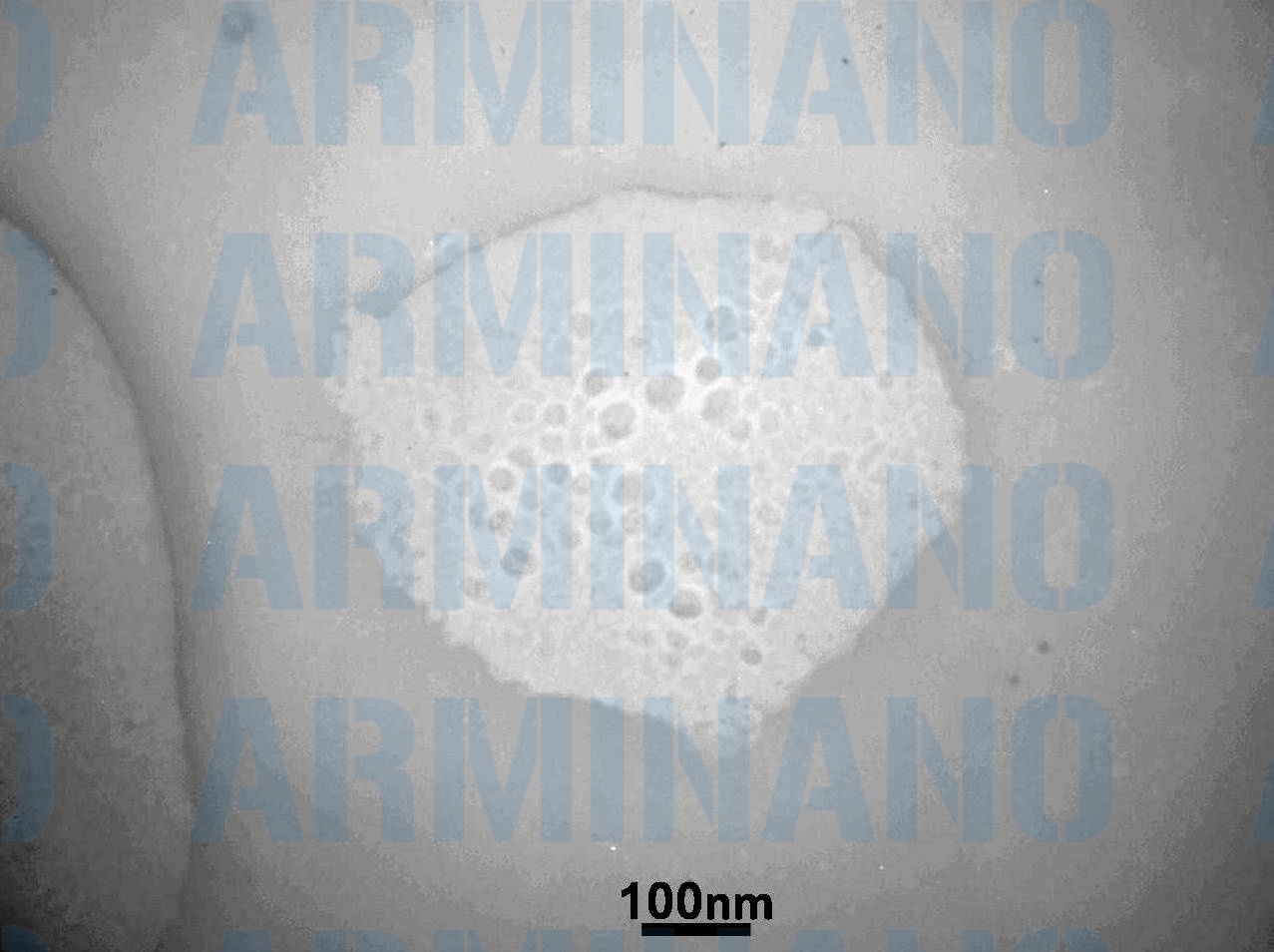 سوسپانسیون نانو ذرات کیتوسان - تصویر 2